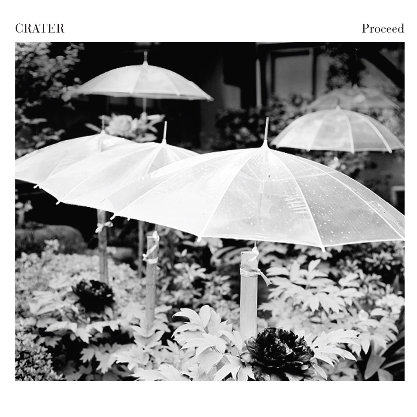 Crater – Proceed