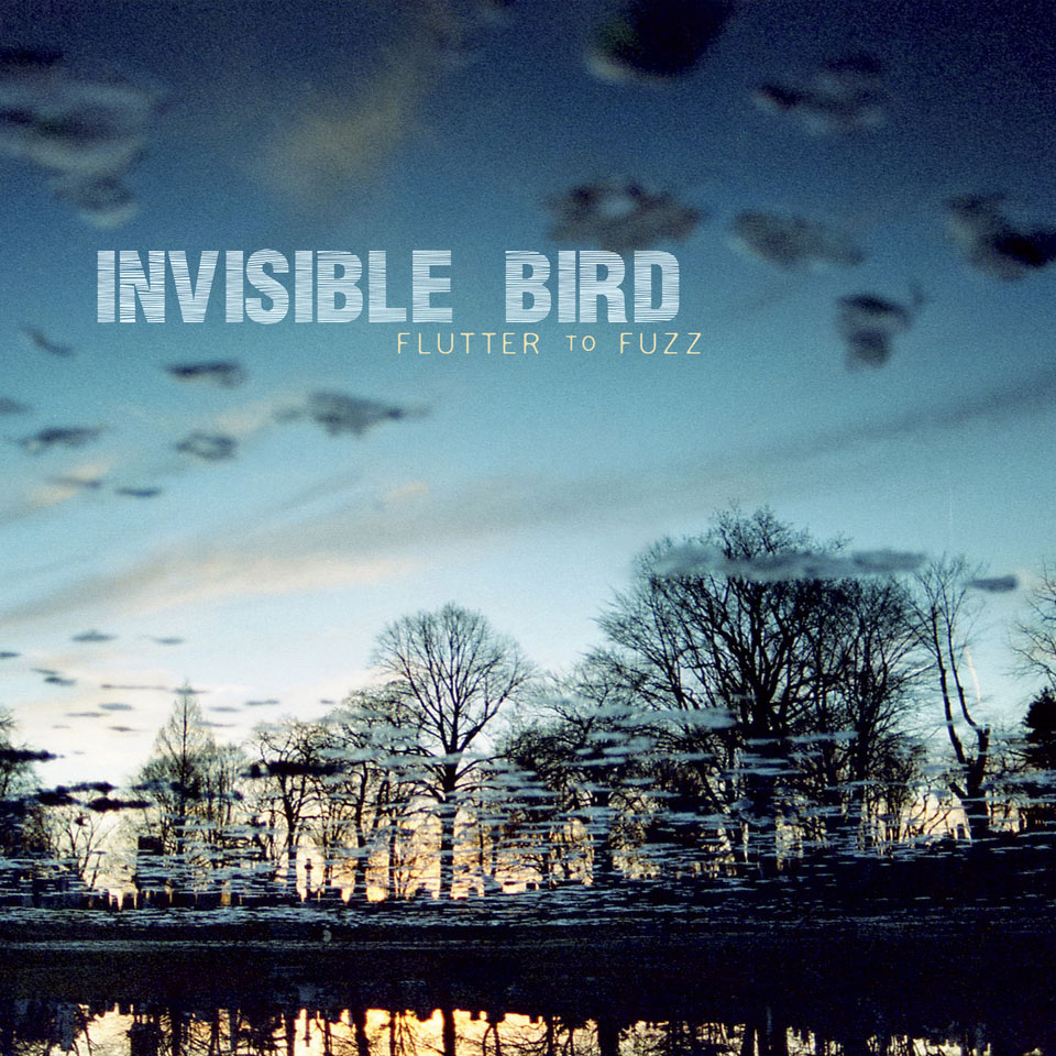 Invisible Bird – Flutter to Fuzz